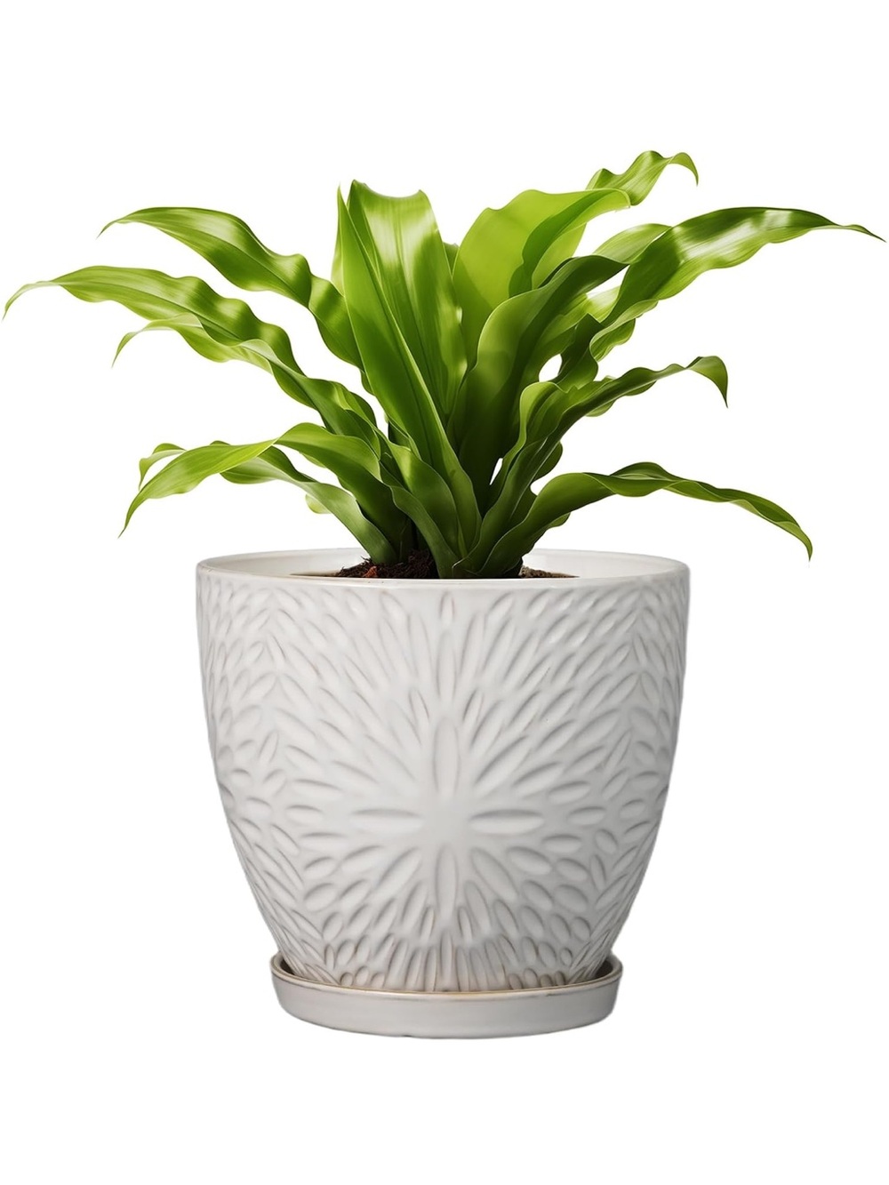 8 Inch Ceramic Plant Pot with Drainage Hole and Saucer Round Planter Pot
